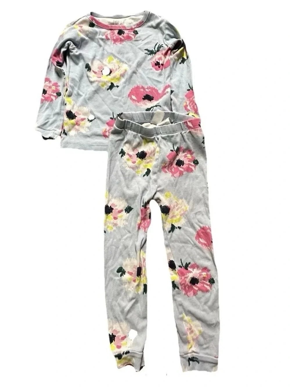 Toddler Girl Baby Gap Blue Floral Long Sleeve Pajama Set Size 4T